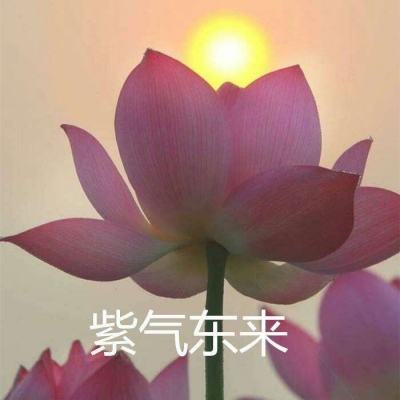 星星斗地主疯狂版下载